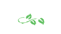 Forrest Hill Continuing Care